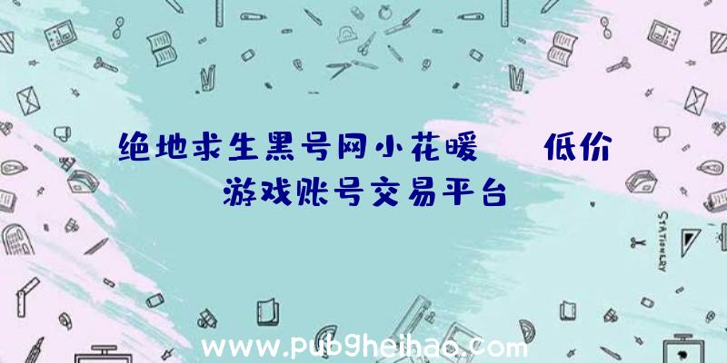 绝地求生黑号网小花暖